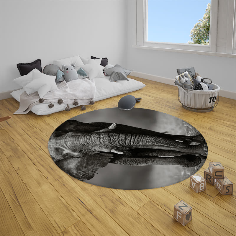 Premium 3D Carpet Design